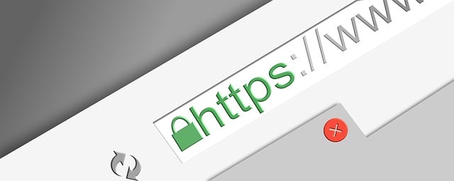 HTTPS and SSL: Automate Your Certificate Management with ACME